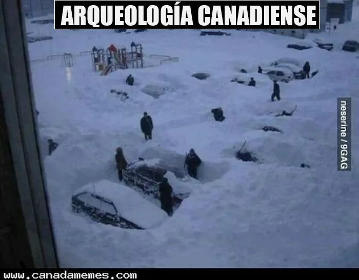 20 Divertidos y acertados memes que resumen Canadá a la perfección