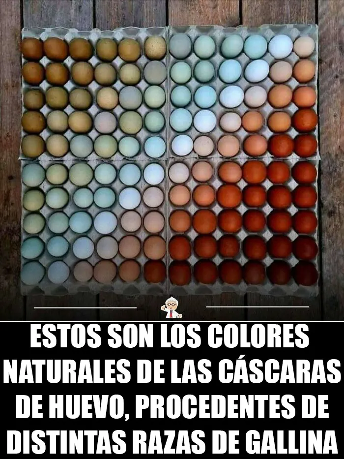 20 Datos interesantes que quizá cambien tu percepción del mundo