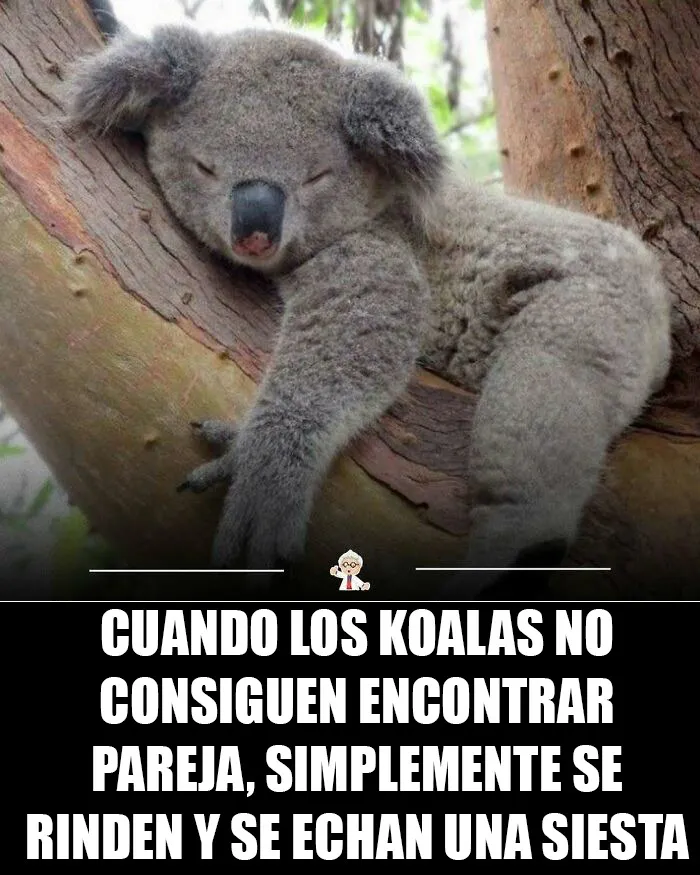 20 Datos interesantes que quizá cambien tu percepción del mundo