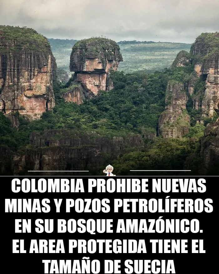 20 Datos interesantes que quizá cambien tu percepción del mundo