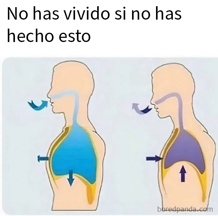 Si llevas un tiempo sin reírte, estos 20 memes quizá te ayuden