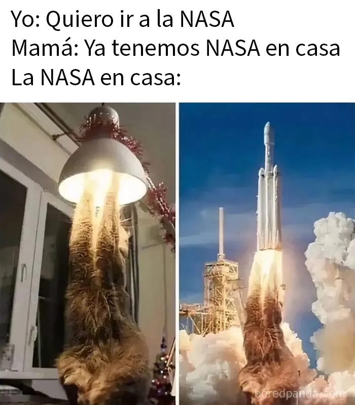 Si llevas un tiempo sin reírte, estos 20 memes quizá te ayuden