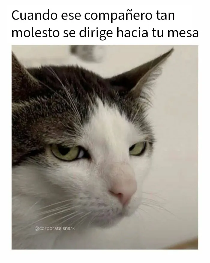 20 Memes sobre la vida en la oficina que son demasiado familiares