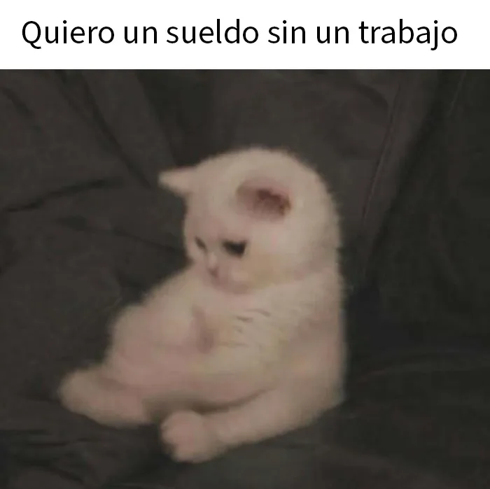 20 Memes sobre la vida en la oficina que son demasiado familiares