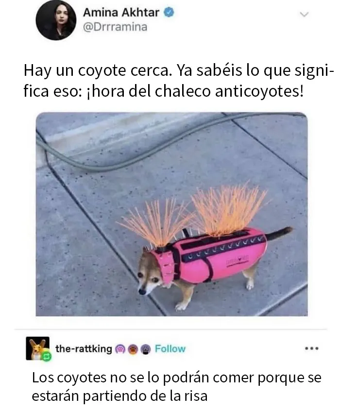 20 Memes e imágenes de animales tan divertidos como reconfortantes para hacerte sonreír