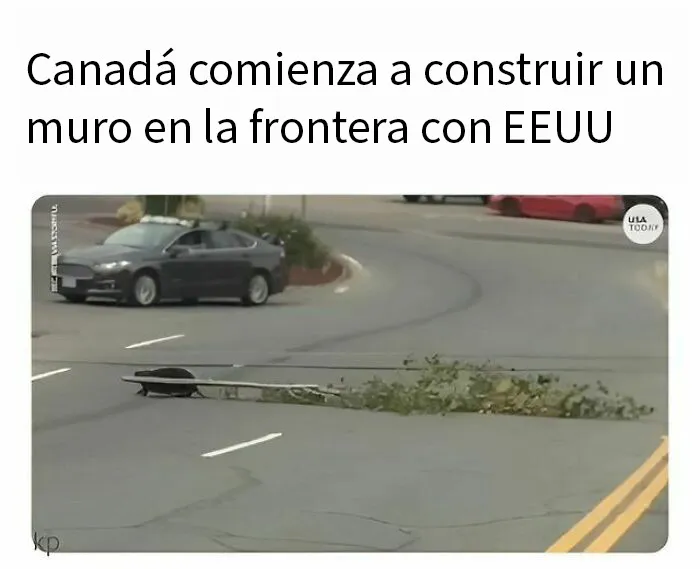 20 Divertidos y acertados memes que resumen Canadá a la perfección