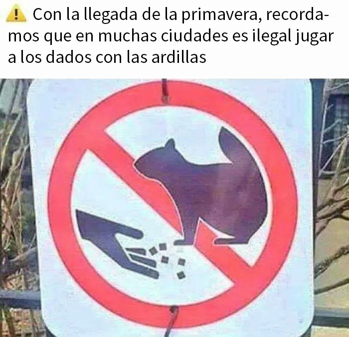 20 Divertidos y acertados memes que resumen Canadá a la perfección