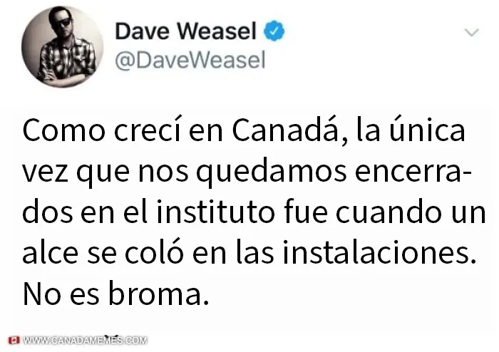 20 Divertidos y acertados memes que resumen Canadá a la perfección