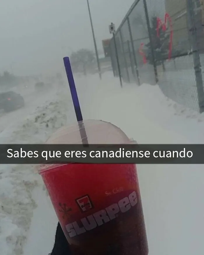 20 Divertidos y acertados memes que resumen Canadá a la perfección