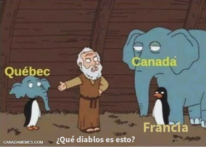 20 Divertidos y acertados memes que resumen Canadá a la perfección