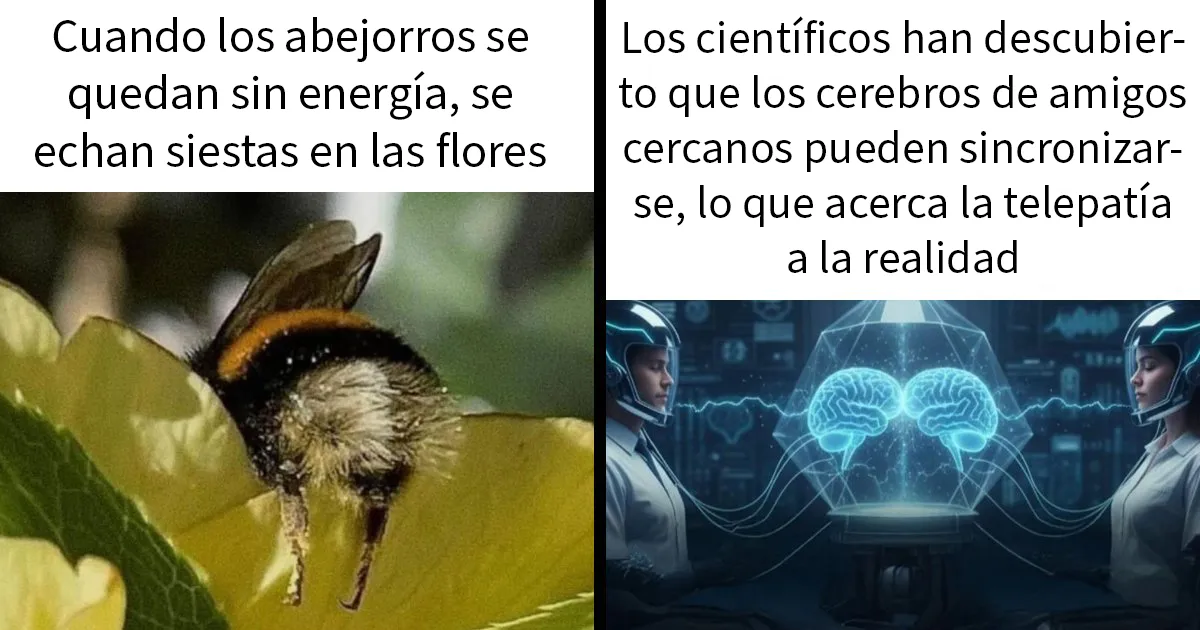 20 Divertidos memes sobre ciencia que combinan humor y conocimiento a la perfección