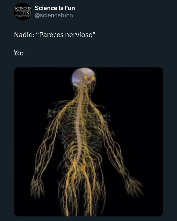20 Divertidos memes sobre ciencia que combinan humor y conocimiento a la perfección