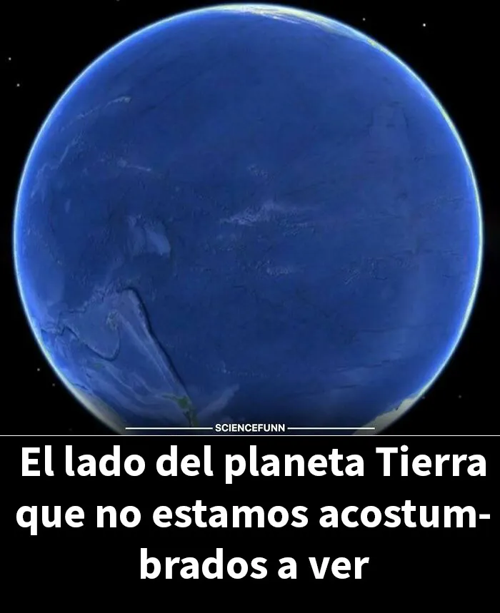 20 Divertidos memes sobre ciencia que combinan humor y conocimiento a la perfección