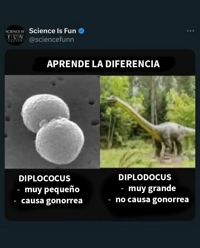 20 Divertidos memes sobre ciencia que combinan humor y conocimiento a la perfección