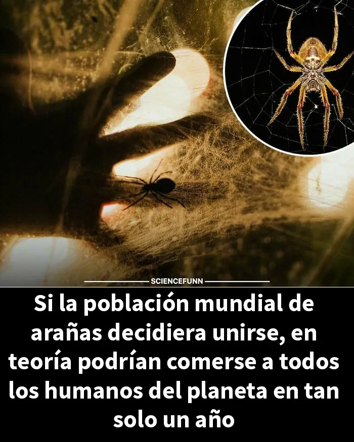 20 Divertidos memes sobre ciencia que combinan humor y conocimiento a la perfección