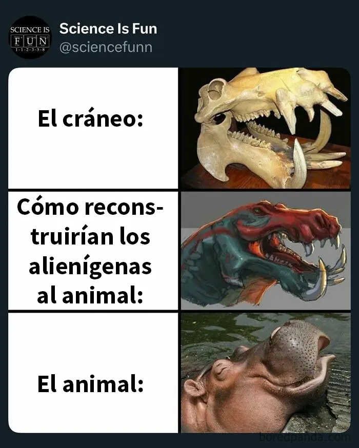 20 Divertidos memes sobre ciencia que combinan humor y conocimiento a la perfección