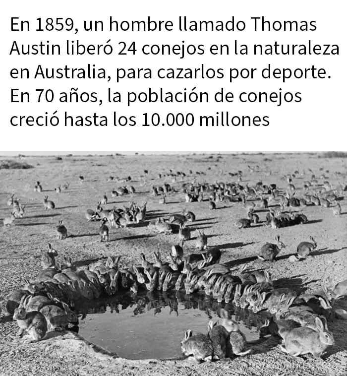 15 Fotos fascinantes que te enseñarán historia de otra manera