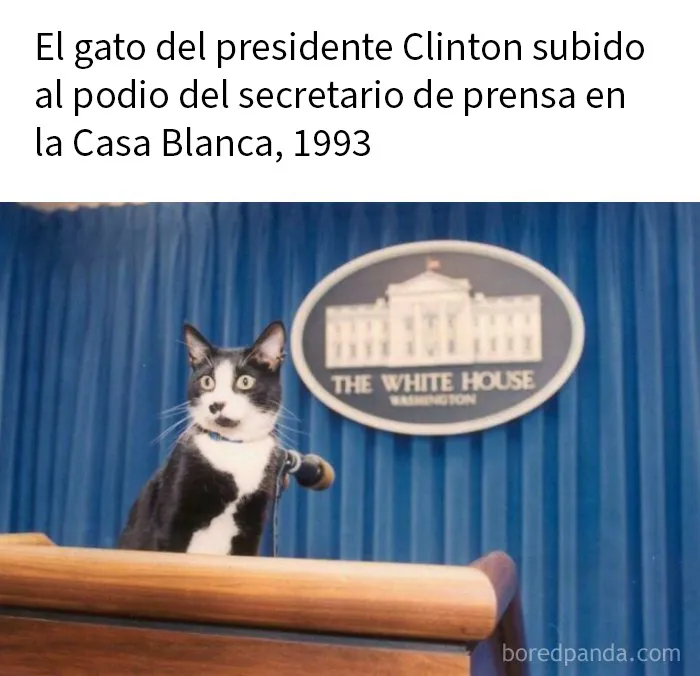15 Fotos fascinantes que te enseñarán historia de otra manera