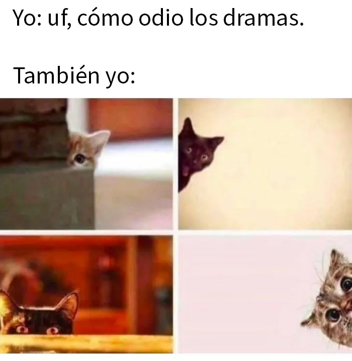 20 Divertidos memes para recordarte lo adorables que son los gatos