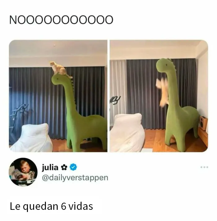 20 Divertidos memes para recordarte lo adorables que son los gatos