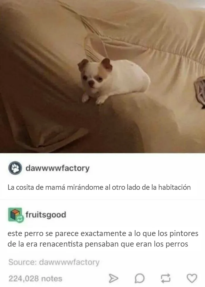 Pobre perrete