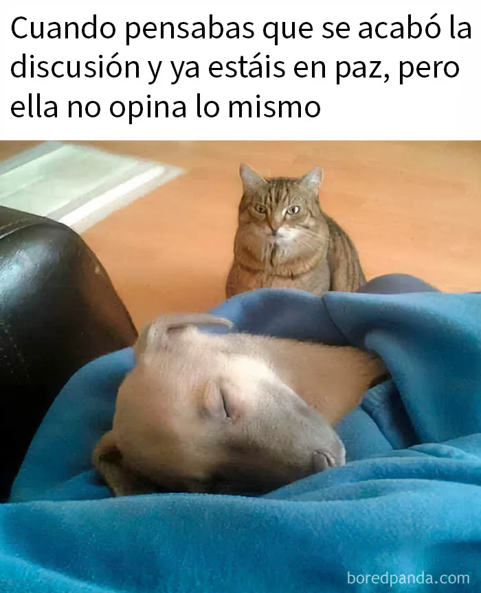 20 Memes divertidos y «muy limpios» para ayudarte a sonreír hoy