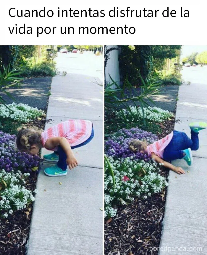 20 Memes divertidos y «muy limpios» para ayudarte a sonreír hoy