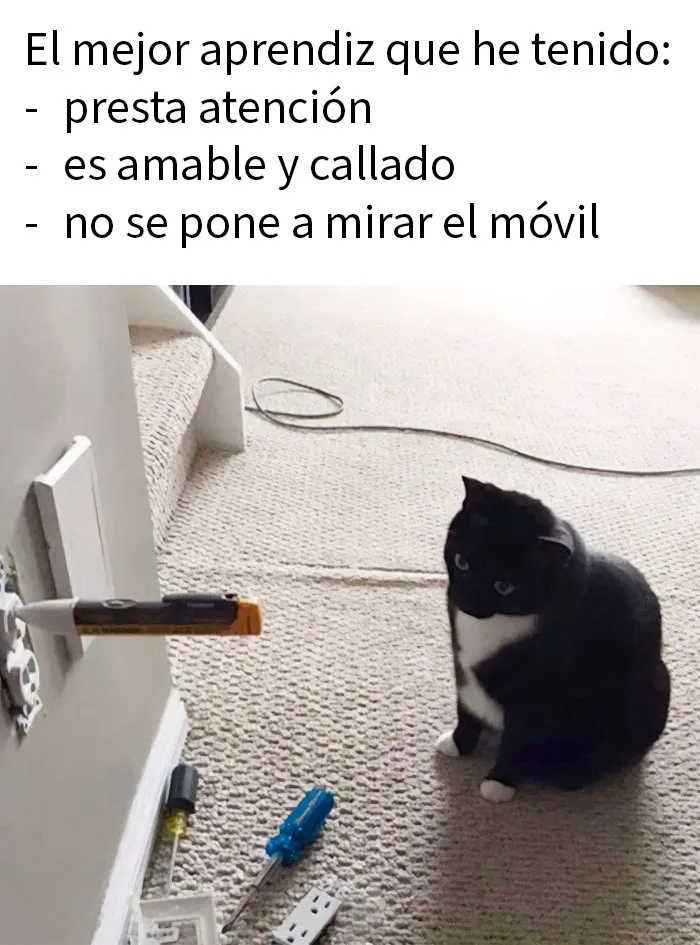 20 Memes divertidos y «muy limpios» para ayudarte a sonreír hoy