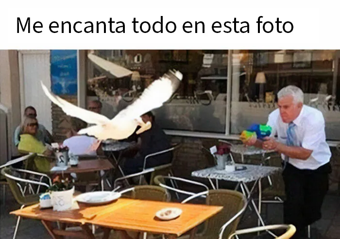 20 Memes divertidos y «muy limpios» para ayudarte a sonreír hoy