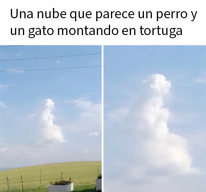 20 Memes divertidos y «muy limpios» para ayudarte a sonreír hoy