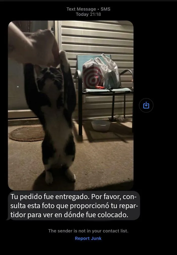 Al repartidor del 28 de julio, gracias por esta joya de foto