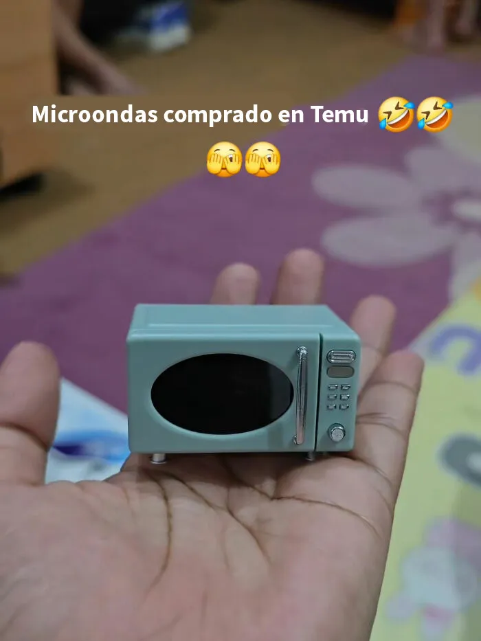 20 Personas que recibieron productos ridículos de Temu
