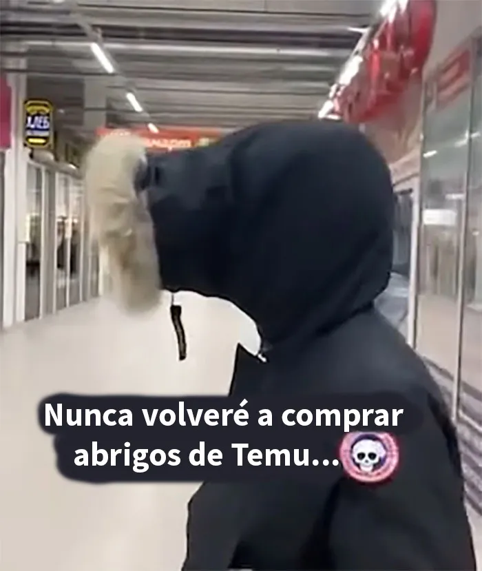 20 Personas que recibieron productos ridículos de Temu