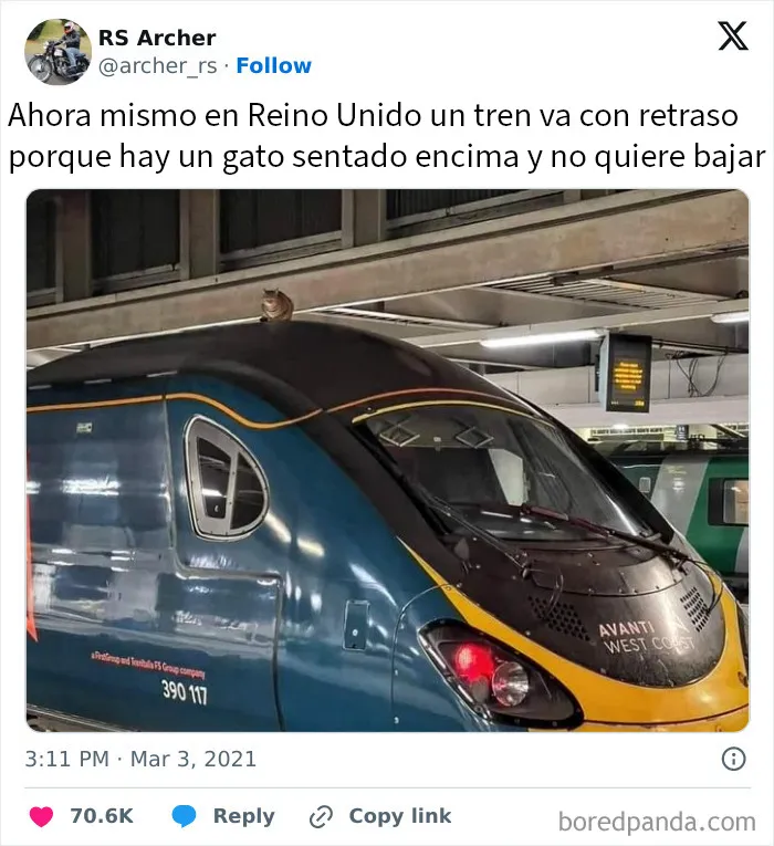 20 Divertidos memes que demuestran la superioridad del humor británico