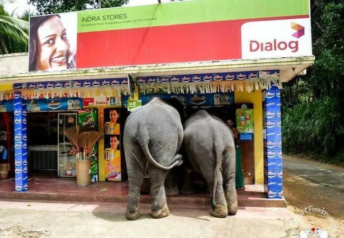 Sri Lanka