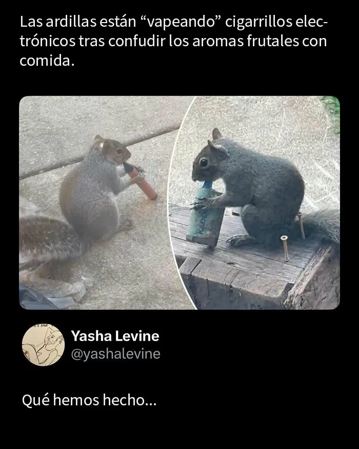 20 Memes divertidos para distraerte del trabajo estresante