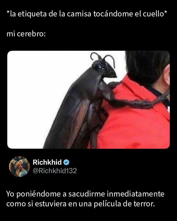 20 Memes divertidos para distraerte del trabajo estresante