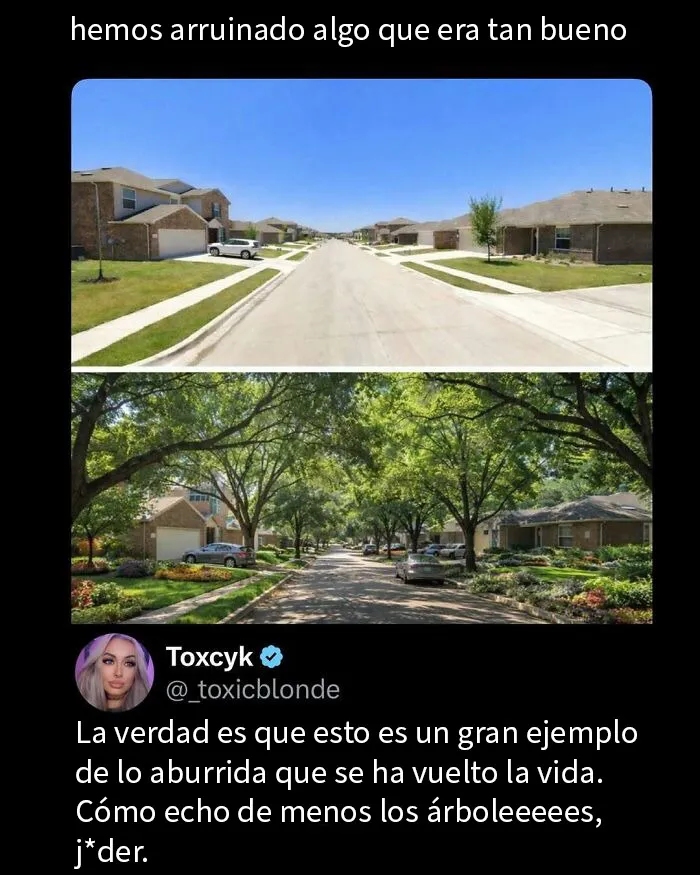 20 Memes divertidos para distraerte del trabajo estresante