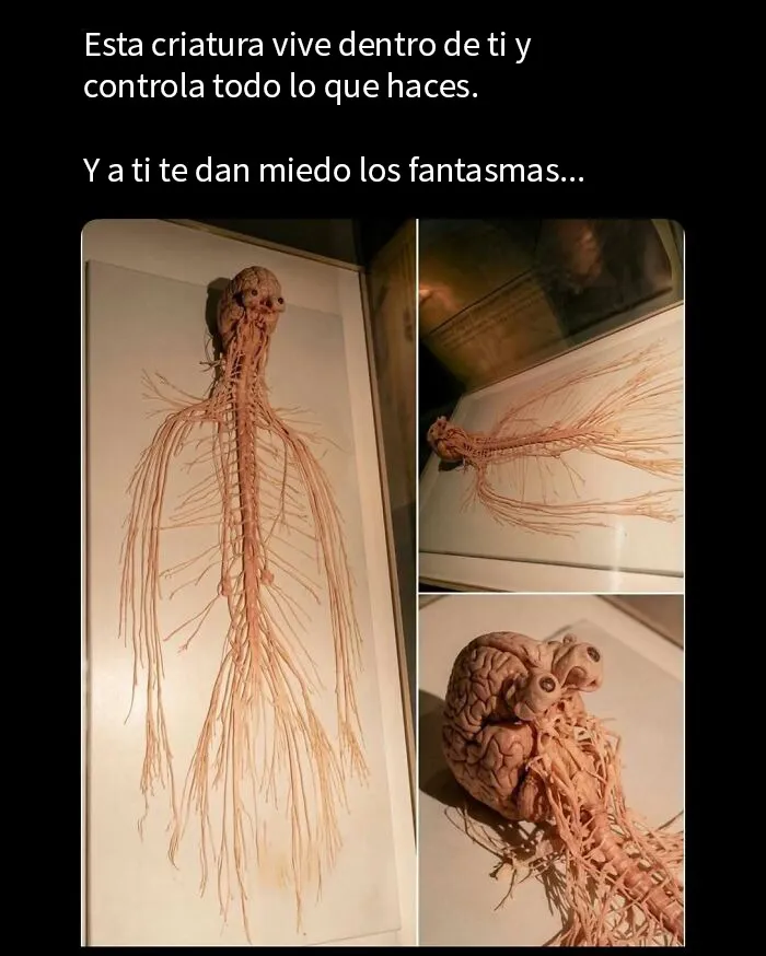 20 Memes divertidos para distraerte del trabajo estresante