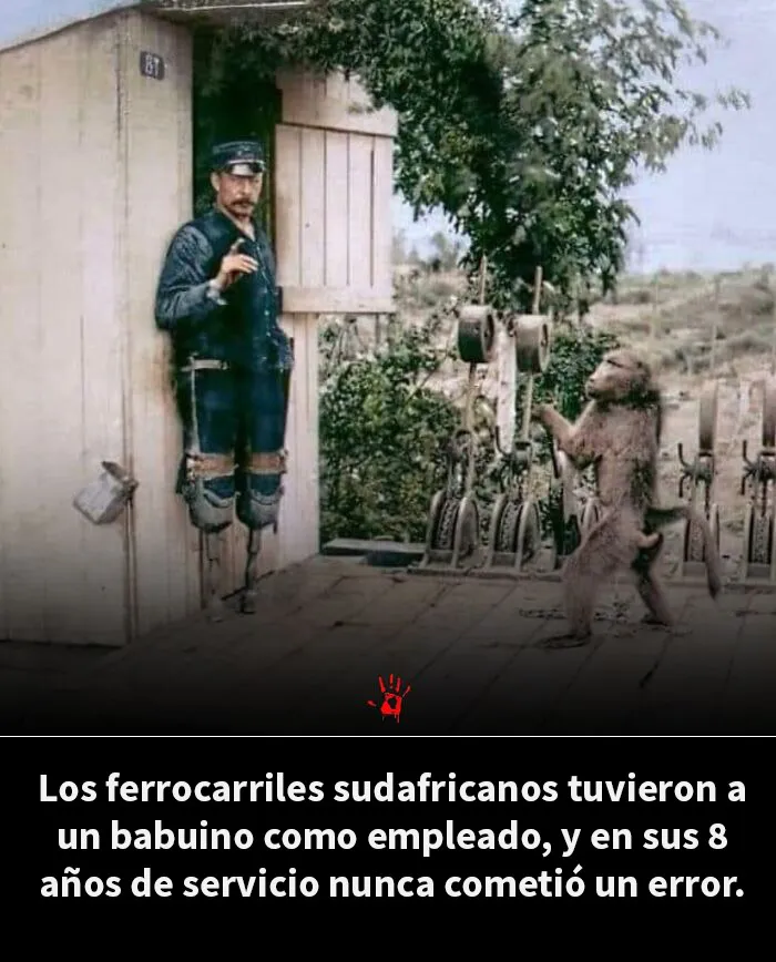 20 Datos inquietantes para quienes gustan del "conocimiento macabro"