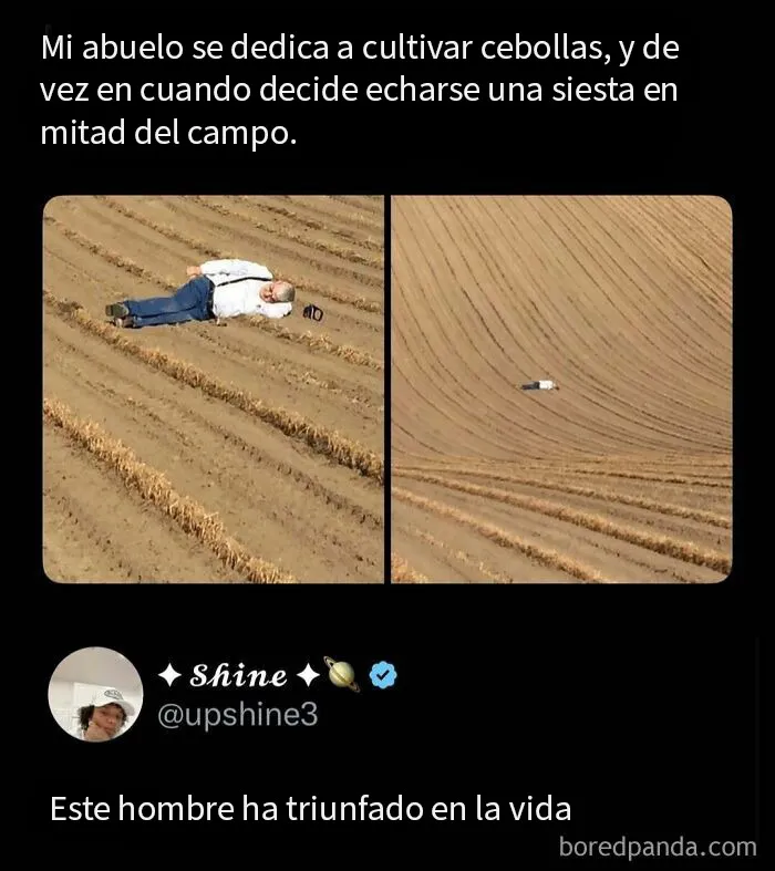 20 Memes divertidos para distraerte del trabajo estresante