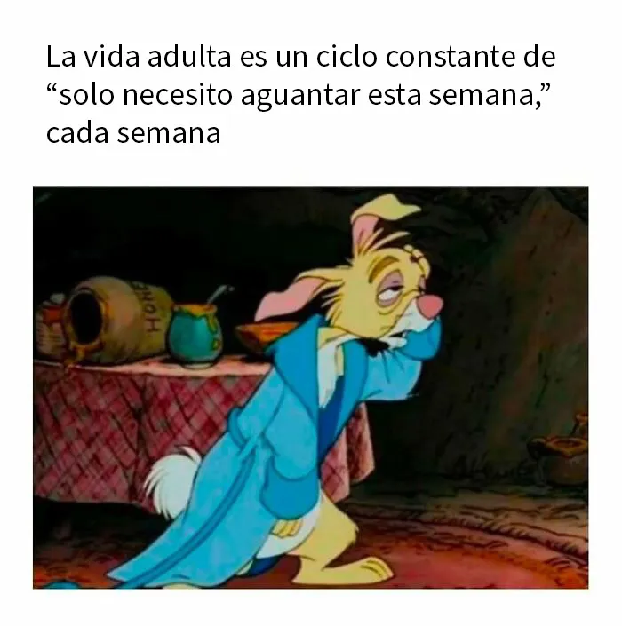 20 Divertidos memes sobre ser adulto que cuentan solo la verdad