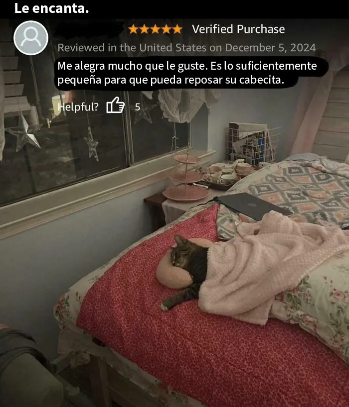 Preciosa reseña de una almohada para gatos