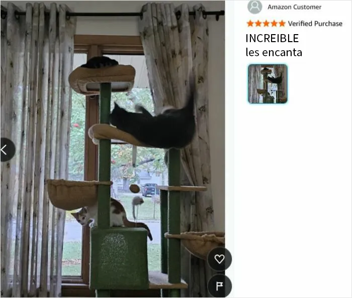 Les encanta