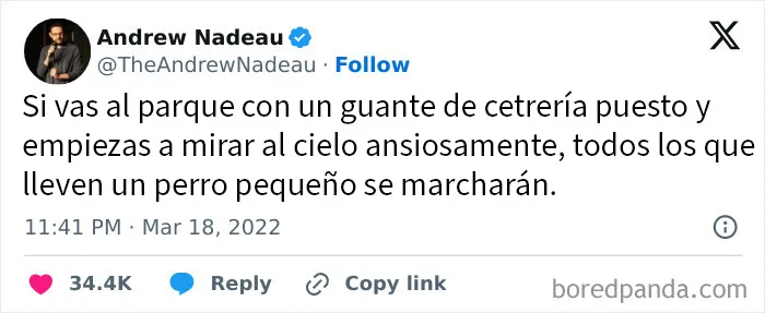 Diversión en el parque