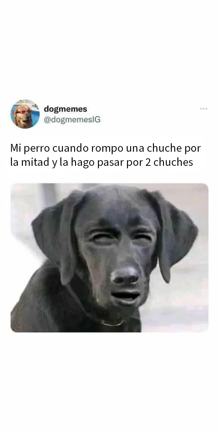 «Lo mejor y lo peor»: 20 divertidos tuits sobre casi todo