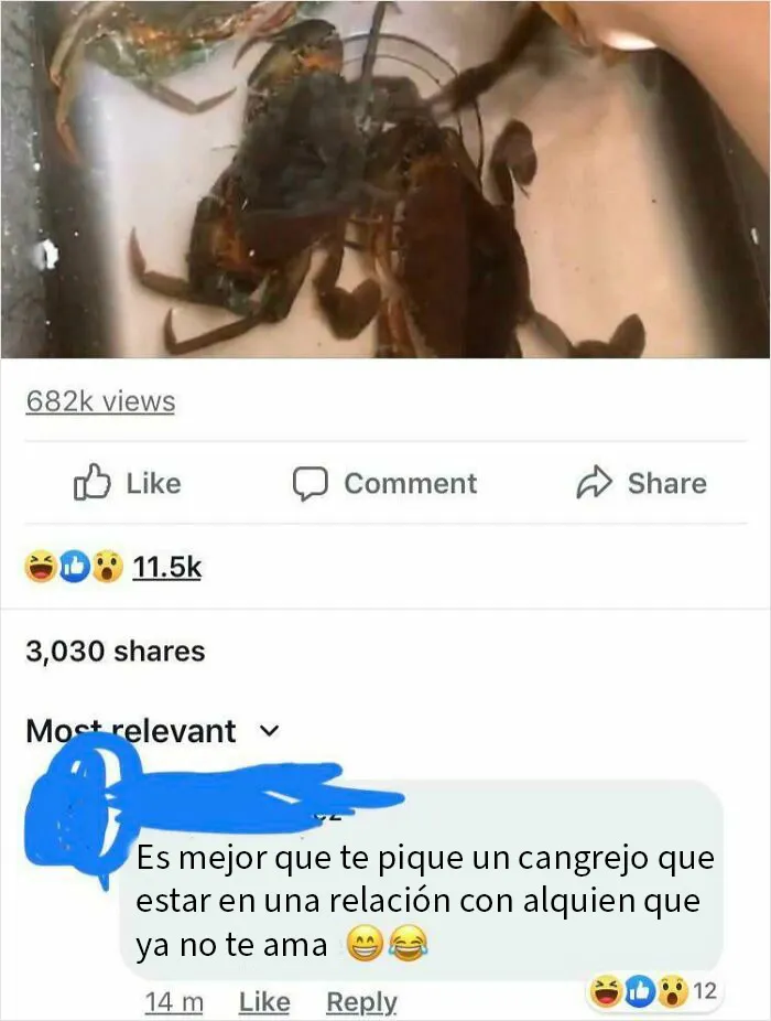 En un video de un cangrejo picando en la mano a alguien