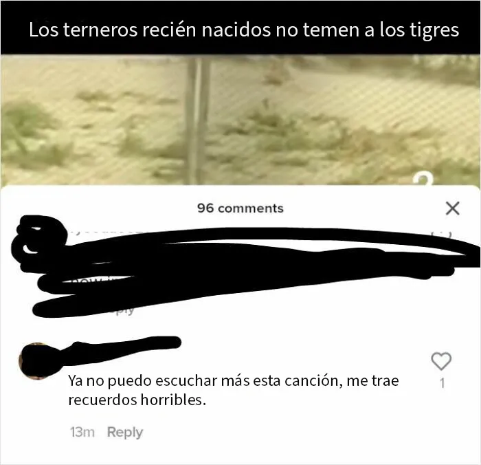 En un video de un ternerito persiguiendo a un tigre con la canción Funky Town de fondo