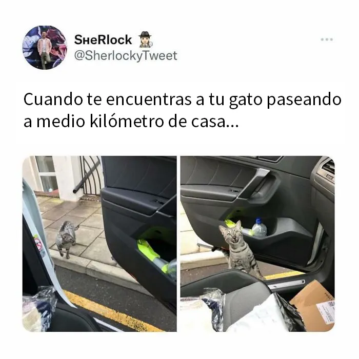 20 Divertidos memes británicos mostrando lo único de su sentido del humor
