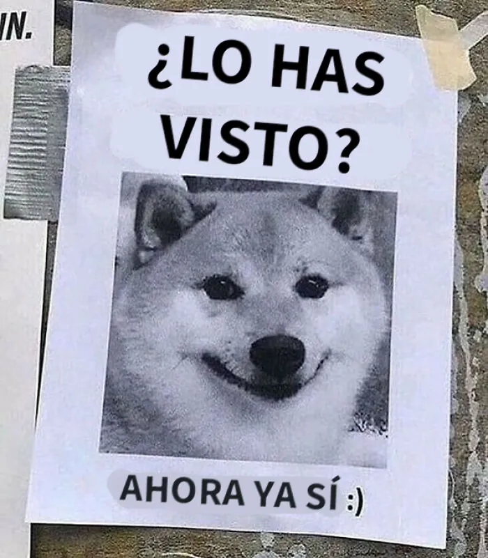 Si te parece que el mundo se va al infierno, estas 20 historias positivas quizá te ayuden a cambiar de opinión